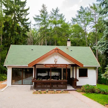 Villa Nedecvidék Ház *